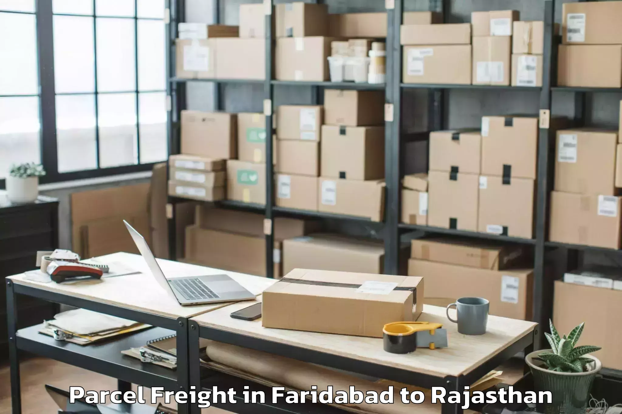 Affordable Faridabad to Bari Sadri Parcel Freight